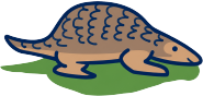 AEIOU anteater