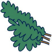 AEIOU plant