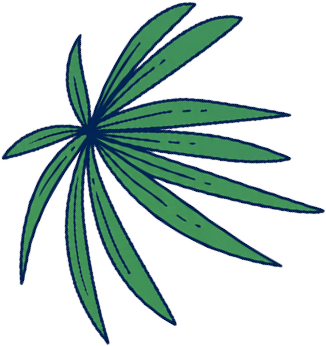 AEIOU plant