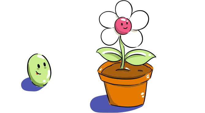 Seeds for life