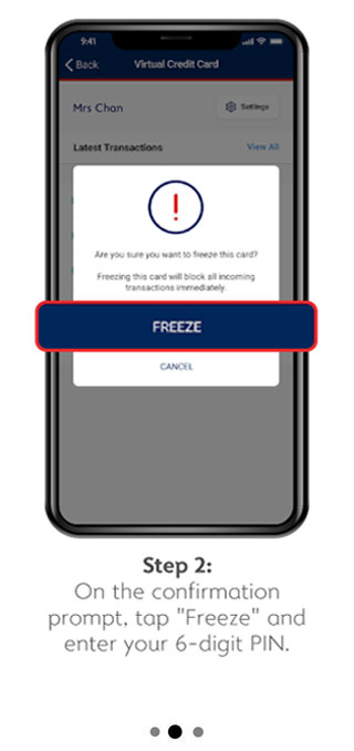 Freeze Supplementary Card
