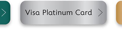 Visa Platinum Card