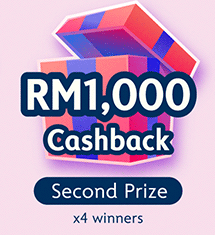 Second Prize