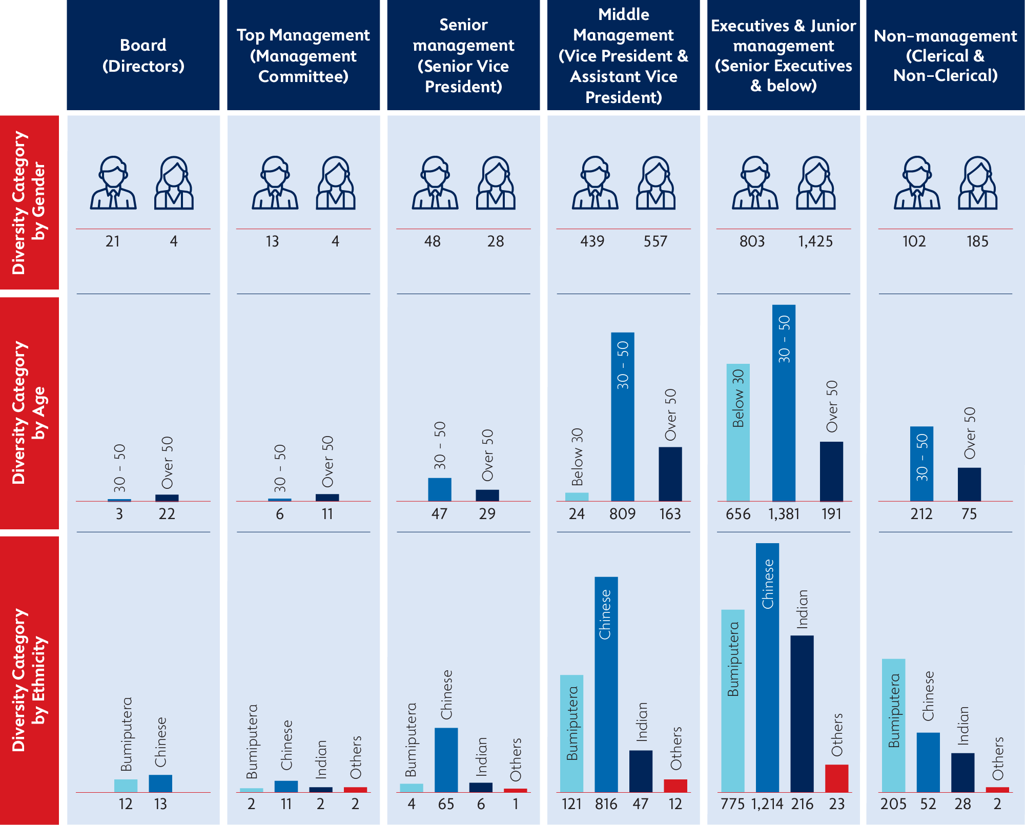 Diversity Category by Gender, Age & Diversity