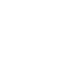 Audited Reports Icon
