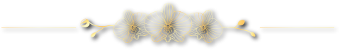 Raya deco