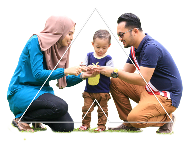 Alliance FlexLink Term Financing-i