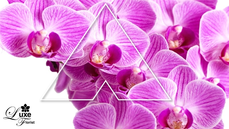 10% OFF* total orders at Luxe Florist