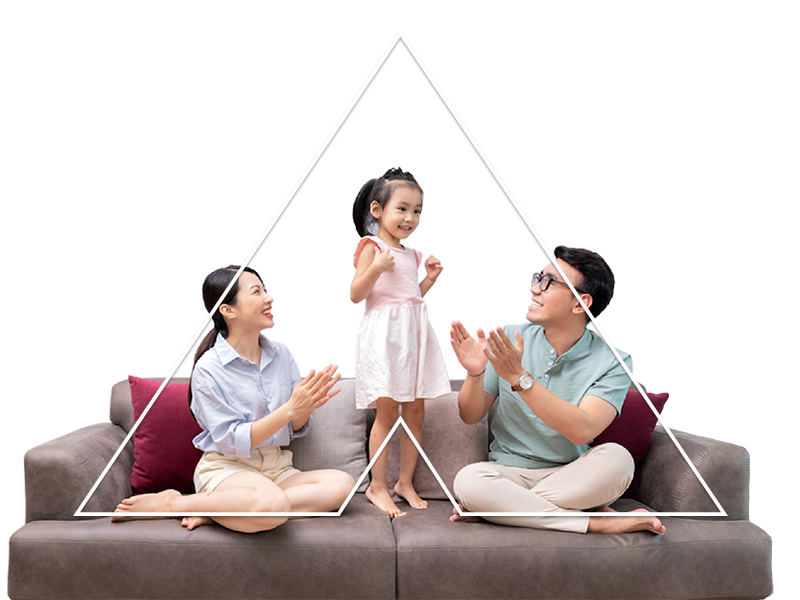 Z-Alliance Comprehensive Home Safe
