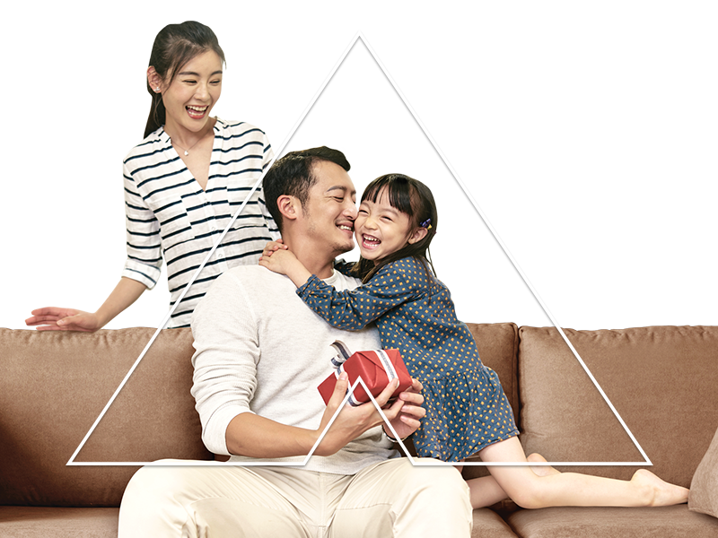Alliance FlexLink Home Loan