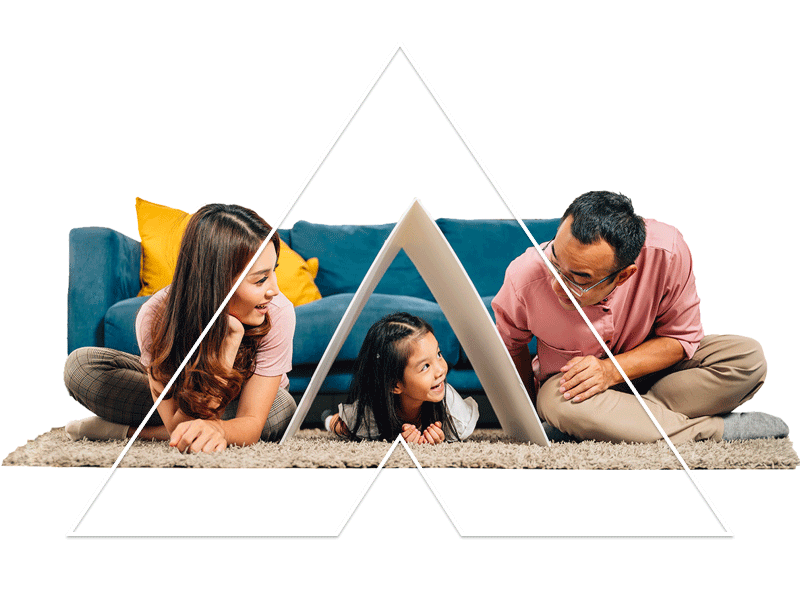 Alliance FlexLink Home Loan