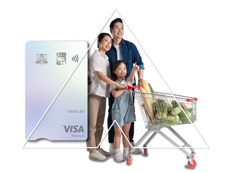 Visa Platinum Credit Card